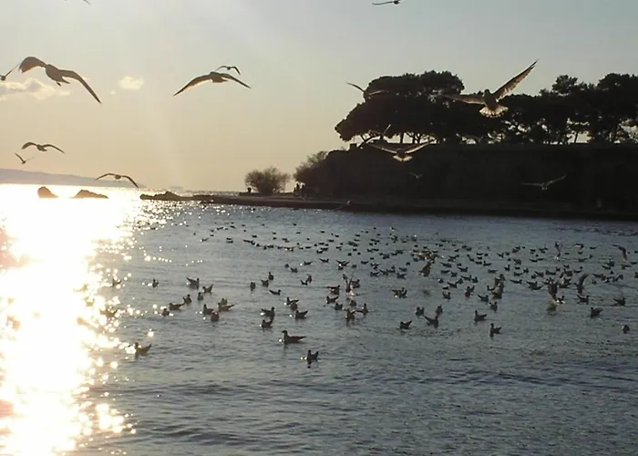 Apartman Sunny Near In