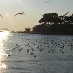 아파트 Sunny Near In